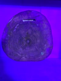 Image 6 of Smoke tray 