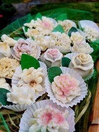 Image 2 of Chocolate Rose Garden