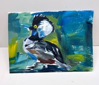 Image 2 of Male Hooded Merganser study on paper