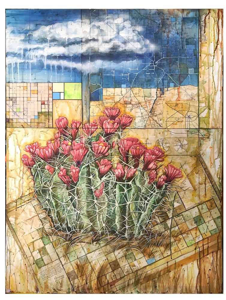 Image of Silver Lining Cactus - Prints