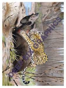 Image of Jaguar VS Tapir