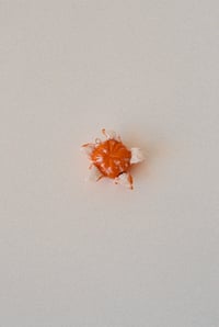 Image 3 of Fresh Juice 
