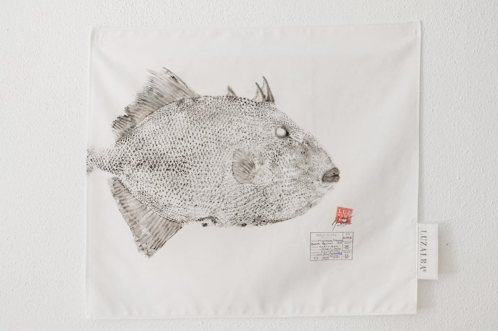 Image of Peixe-porco | Triggerfish 