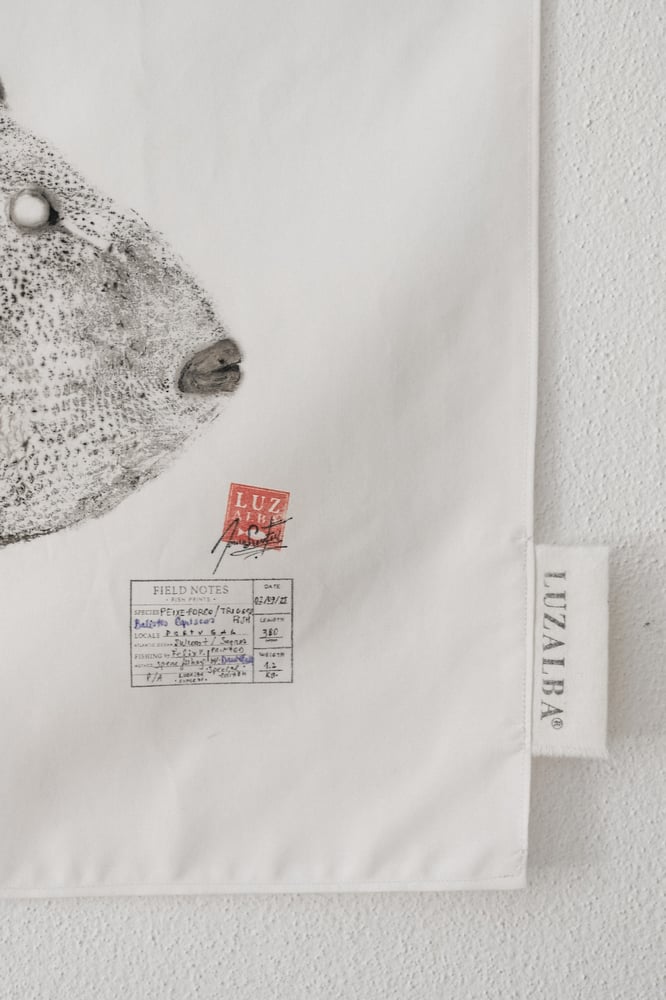 Image of Peixe-porco | Triggerfish 