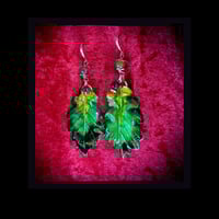 Image 2 of ☽ Quercus Aestas ☾