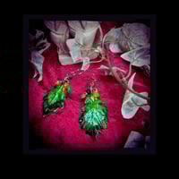 Image 3 of ☽ Quercus Aestas ☾