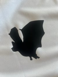 Image 4 of FC PALESTINE x INFAMY