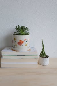 Image 2 of Fuji Plant Pot with Plate