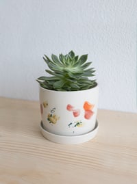 Image 1 of Fuji Plant Pot with Plate