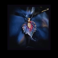 Image 3 of ☽ Urtica Boreal ☾