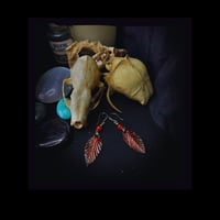 Image 2 of ☽ Carpinus BlackFyre ☾