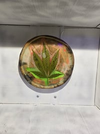 Image 2 of Leaf1 tray