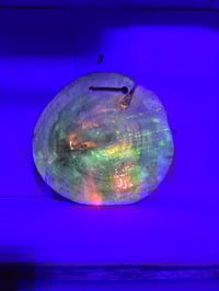 Image 3 of High tray 