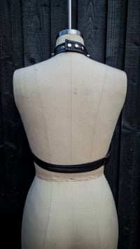 Image 7 of ExoHarness