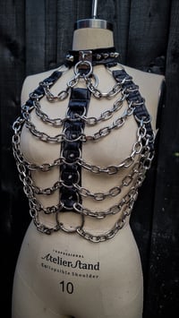 Image 4 of ExoHarness