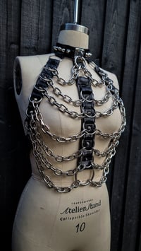 Image 5 of ExoHarness