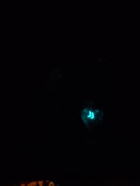 Image 3 of Mary Jane tray