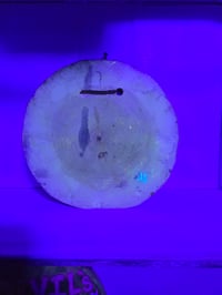 Image 5 of Mary Jane tray