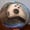 Image of Custom Airbrush Basketball, Basketball ART, Custom Half Ball or Full Ball Designs