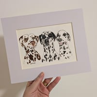 Image 4 of Pet Portrait Illustration