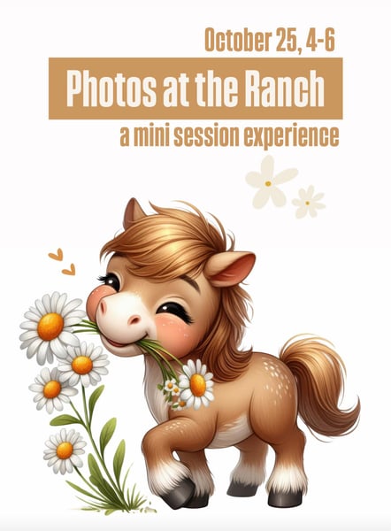 Image of HORSE MINIS (an interactive experience!)