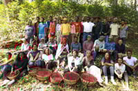 Image 1 of (New) Ethiopian Guji