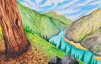 Salmon River Sticker