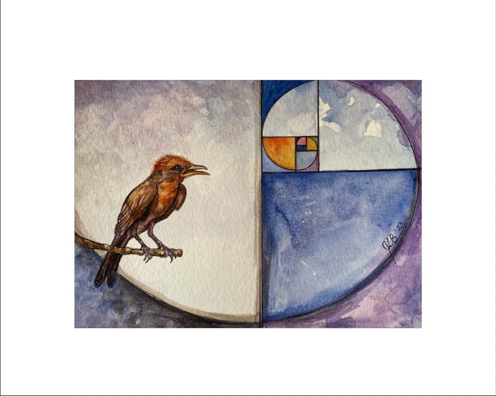 Image of Fibonacci Series - 4 up