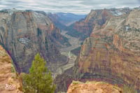 Observation Point At Zion (0004)