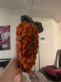 Carrot Stuffy