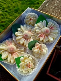 Image 5 of Chocolate Gifts