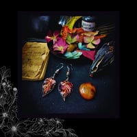 Image 3 of ☽ Sambucus Purpura ☾