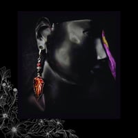 Image 4 of ☽ Sambucus Purpura ☾