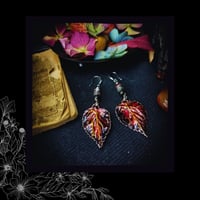 Image 5 of ☽ Sambucus Purpura ☾