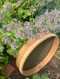 Image 3 of Large Vintage Wooden Sieve