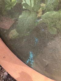 Image 5 of Large Vintage Wooden Sieve