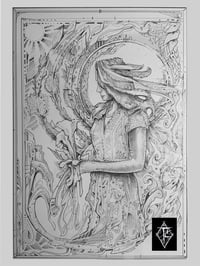 Image 2 of Cala Lily