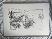 Image 9 of Field Faeries 