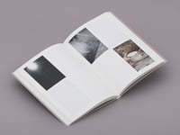 Image 2 of No todo está perdido / Gustavo Alemán