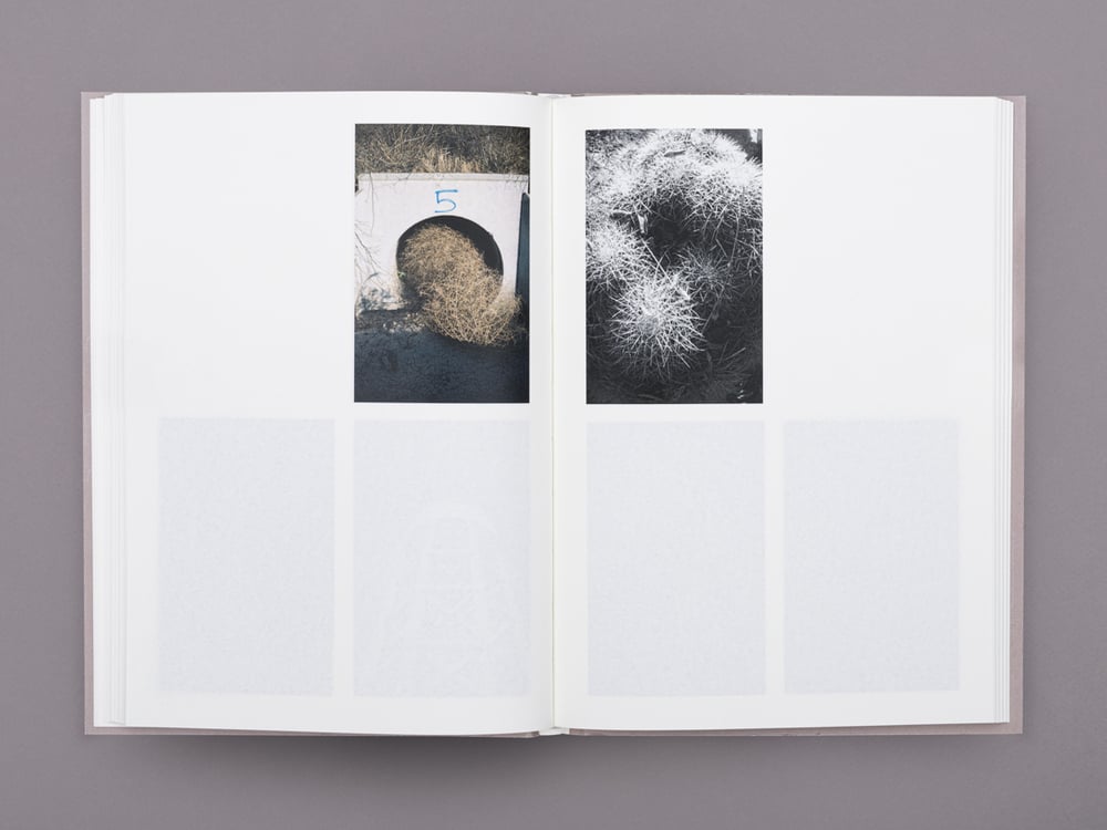 Image of No todo está perdido / Gustavo Alemán