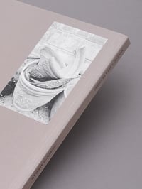 Image 5 of No todo está perdido / Gustavo Alemán