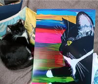 Image 6 of Any 5 cards for £10