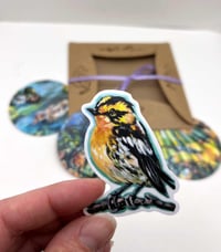 Image 2 of Sticker Pack – 5 stickers! Summer edition