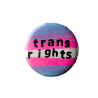 Trans rights badge