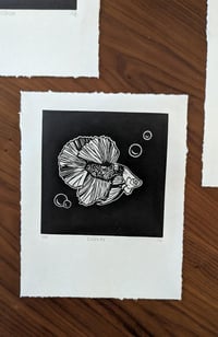Image 1 of Betta Fish Display graphic linocut artwork by Hello Magnolia