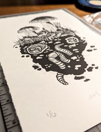 Image 2 of Dirt