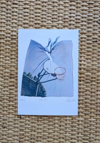 Image 2 of Basketball Polaroid Emulsion Artwork
