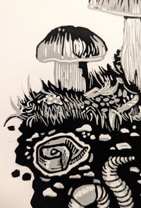 Image 4 of Dirt