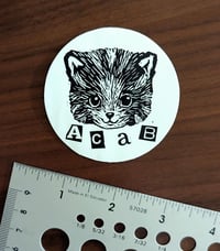 Image 3 of All Cats Are Beautiful Kitten Sticker