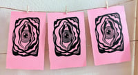 Image 4 of Wonder 